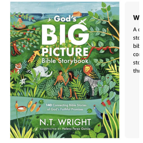 God's Big Picture Bible Storybook: 140 Connecting Bible Stories of God's Faithful Promises (God’s Big Picture Bible Stories)