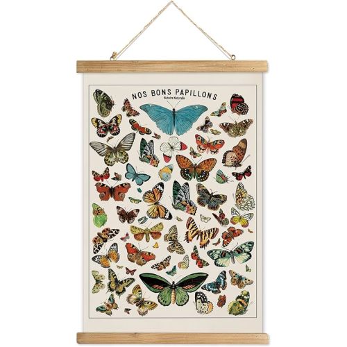 XIAOAIKA Vintage Butterfly Poster with Wooden Frame, Cottagecore Room Decor Aesthetic, Retro Style Wall Decor Art Painting for Nature Lovers, Classrooms, and Home Decor 16 x 23 Inches
