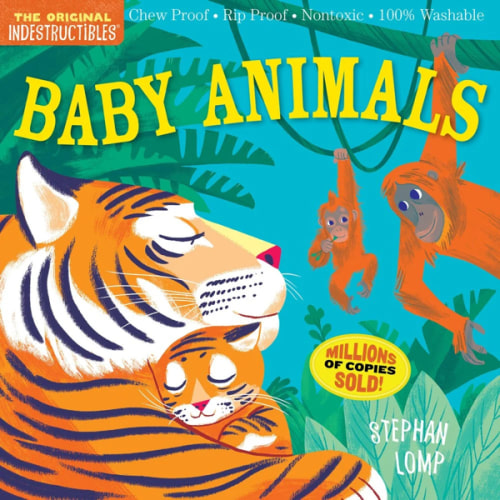 Indestructibles: Baby Animals a book by Stephan Lomp and Amy Pixton - Bookshop.org US