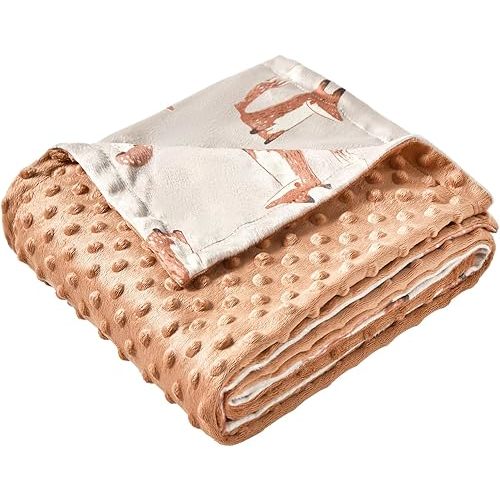 iEvolve Baby Nursery Bed Blankets Ultra Soft Double Layer Mini Blanket Minky Blanket Receiving Blankets Shower Gifts(30"*40",Fox)