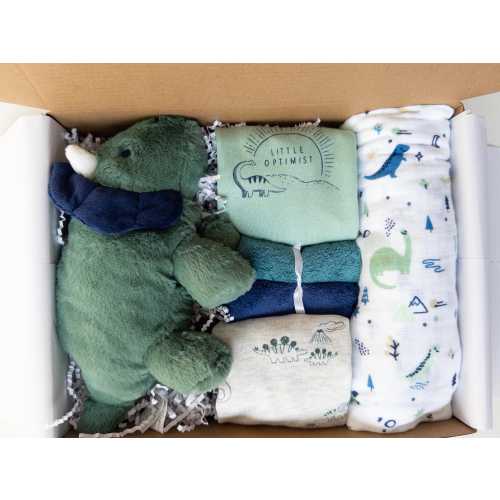 Dinosaur Baby Gift Box Set, Bodysuit, Swaddle Blanket & Stuffed Toy