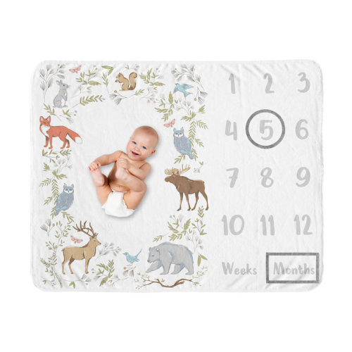 Sweet Jojo Designs Woodland Toile Fleece Baby Blanket | Wayfair
