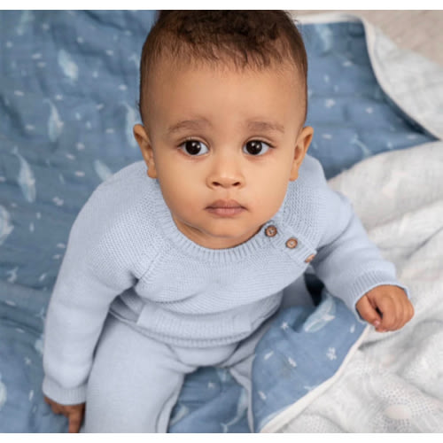 aden + anais Organic Cotton Muslin Blanket in Oceanic