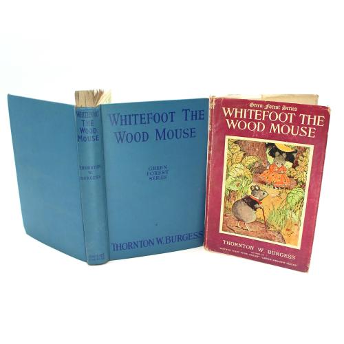 Vintage "Whitefoot the Wood Mouse" hardcover book by Thornton W. Burgess - antique, animal stories, chapter book, Green Forest Series