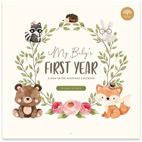 Baby's First Year Calendar by Bright Day - 1st Year Tracker - Journal Album to Capture Precious Moments - Milestone Keepsake for Baby Girl or Boy