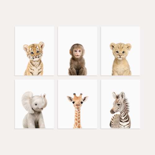 Baby Jungle & Safari Animals Set of 6 Nursery Decor Prints - Classic · 5x7 · Fine Art Print (Unframed) - Baby Jungle & Safari Animals Set of 6 Nursery Art Prints – The Crown Prints