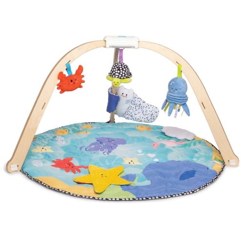 Melissa & Doug Ocean Easy-Fold Play Gym Developmental Toy for Infants with Reversible Mat: Animal Prints, Multiple Textures, Wood, Fabric