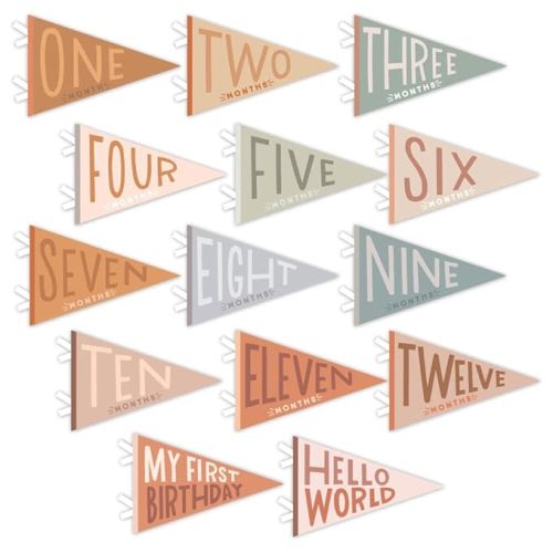 Lucy Darling Petit Milestone Pennants – Baby Monthly Milestone Pennant Flags – Newborn Photo Props & Felt Nursery Decor – Keepsake Banner Set for Baby Photos – Mountain Fields