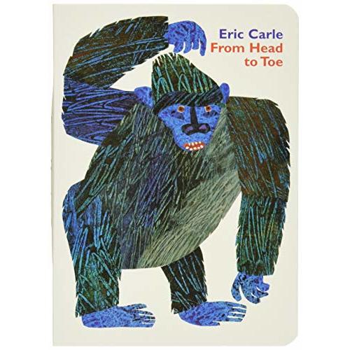 From Head to Toe Board Book