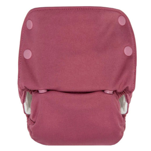 Grovia All-In-1 Cloth Nappy -Petal