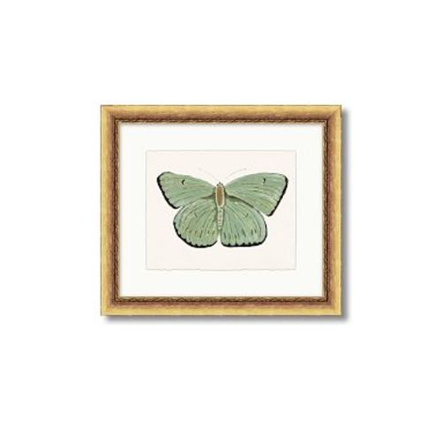 Jordan Connelly Soft Butterfly Framed Wall Art, Green, 16 x 14"