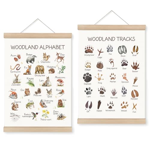 Woodland Animal Tracks Alphabet Poster – Rustic Nature Prints with 25 Realistic Footprints, Forest Animal ABC Educational Wall Art Hanging for Nursery, Playroom, Classroom, Homeschool, 12x16 Inches