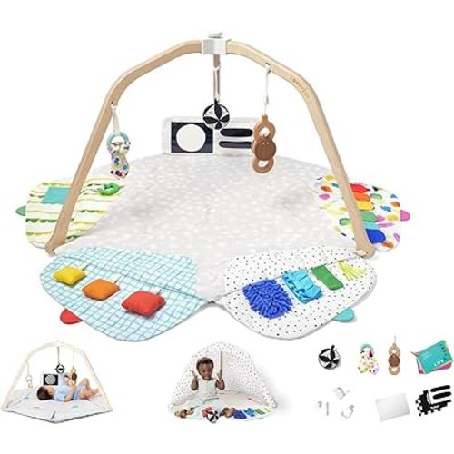 LOVEVERY | The Play Gym | Award Winning For Baby , Stage-Based Developmental Activity Gym & Play Mat for Baby to Toddler