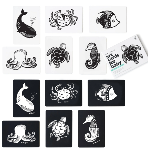 Art Cards for Baby - Ocean Collection