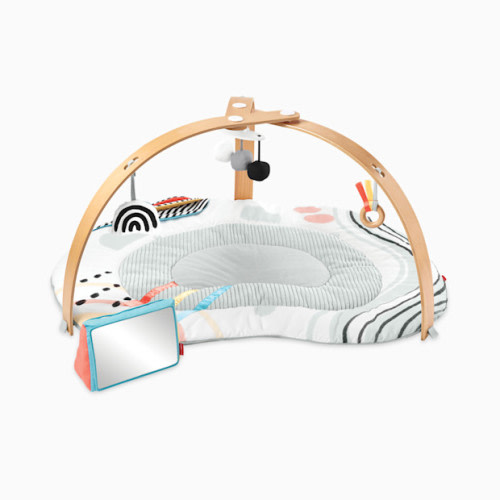 Discoverosity Wooden Play Gym