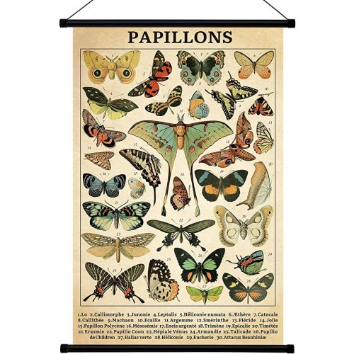 Geyee Butterfly Vintage Poster Wall decor Rustic Hanging Art Illustrative Reference Chart Prints Picture for Living Room Office Classroom Bedroom Frame, 15.8 x 23.6 Inch