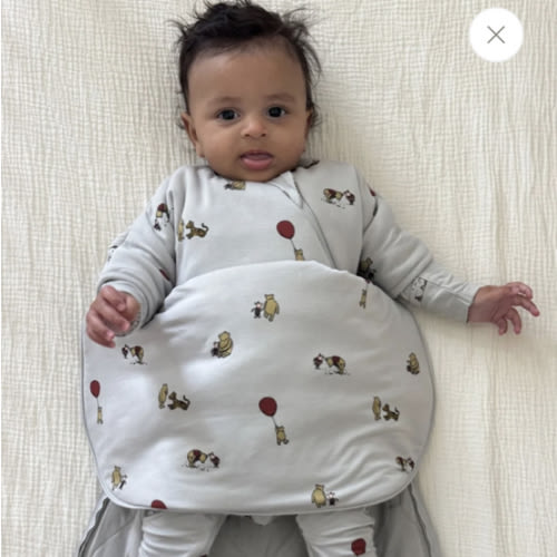 Long Sleeve Transitional Swaddle Sack - Pooh / 2.5 TOG