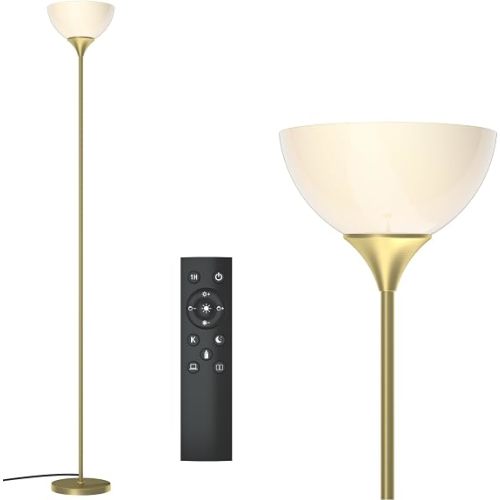 PESRAE Floor Lamp, Remote Control, Stepless Brightness & Color Temperature