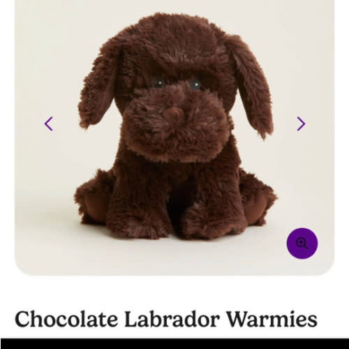 Chocolate Labrador Warmies | Microwavable Chocolate Labrador Warmies Stuffed Animal | Warmies USA