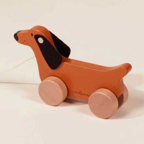 Dog Pull Toy