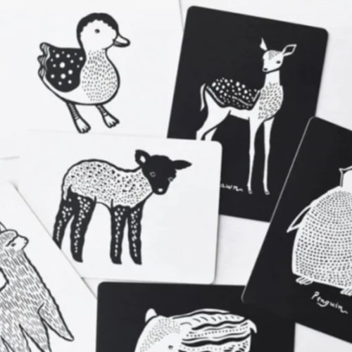 Wee Gallery High Contrast Cards - Black and White Young Animals