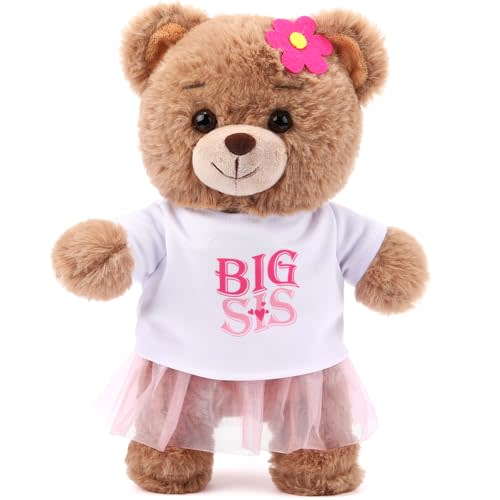 Civaner Big Sister Gift for Girl 9.8" Bear Stuffed Animal with Outfit, Pink