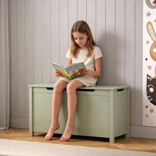 Ebern Designs Ennassim Ebern Designs Toy Box with Safety Hinged Lid & Reviews | Wayfair