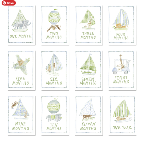 Baby Milestone Cards: Menagerie Blue Set