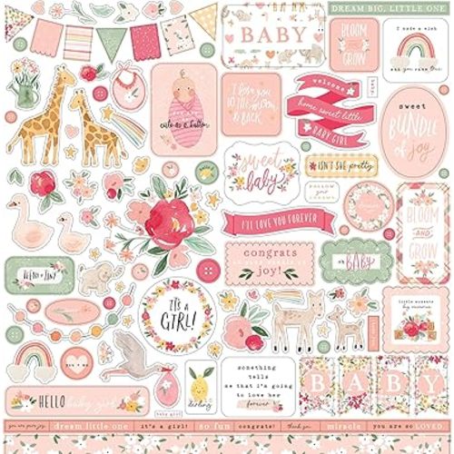 Echo Park Paper Company Welcome Baby Girl Element Sticker, 12-x-12-inch