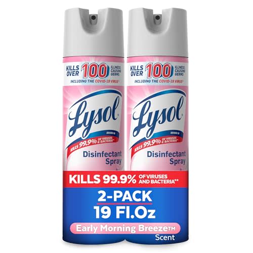 Lysol Disinfectant Spray, Sanitizing And Antibacterial Spray, For Disinfecting And Deodorizing, Early Morning Breeze, 19 Fl Oz (Pack Of 2), Packaging May Vary