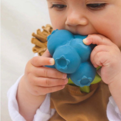 Jerry the Blueberry Baby Teether | Oli&Carol