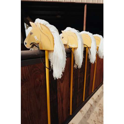 Palmer Ranch Ponies