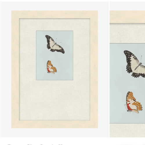 Butterflies Study II