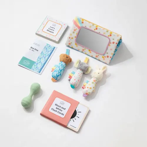 Hello World Toy Starter Pack Box 1 | 0-3 Months