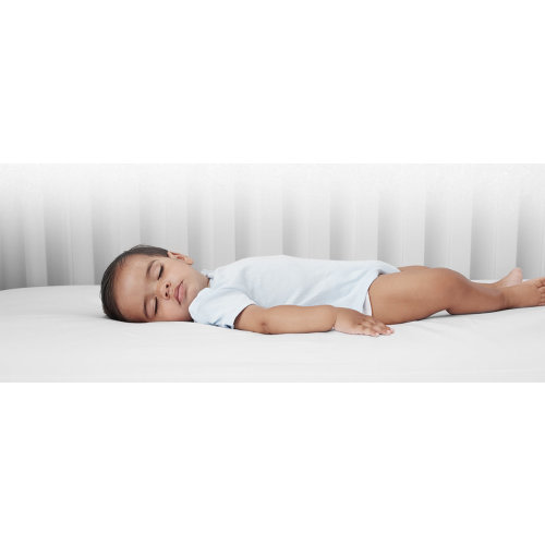 Baby Crib Mattresses & Mini Crib Mattresses You'll Love