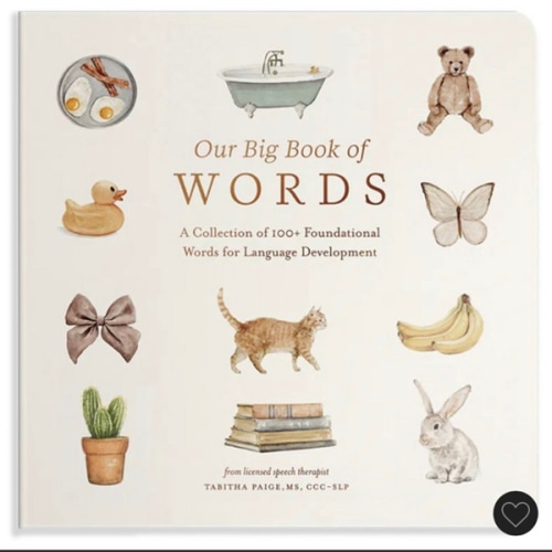 Our Big Book of First Words: A Collection of 100+ Foundational Words for Language Development (Tabitha Paige Children's Book Series)