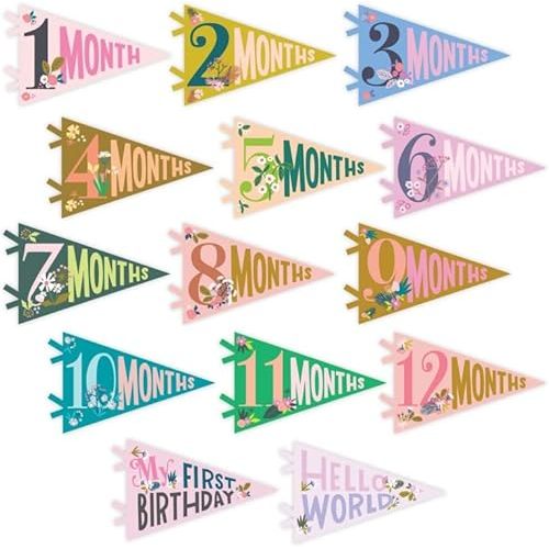 Lucy Darling Petit Milestone Pennants – Baby Monthly Milestone Pennant Flags – Newborn Photo Props & Felt Nursery Decor – Keepsake Banner Set for Baby Photos – Little Artist