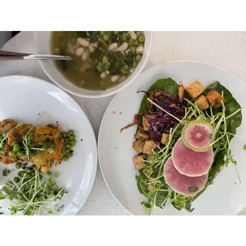 Chiyo PostPartum Nourishing Meal Service