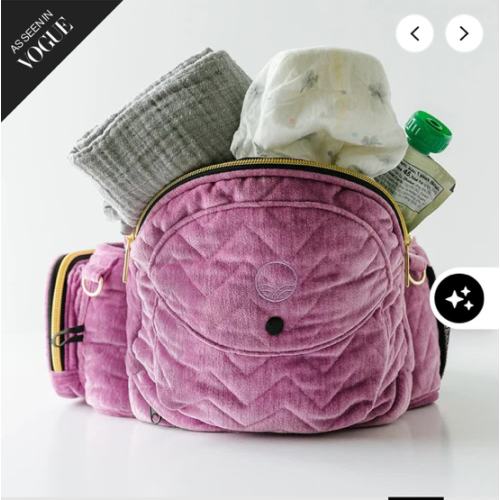 The Tushbaby Hip Carrier