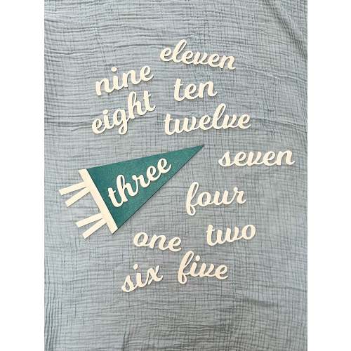 Monthly Milestone Felt Pennant