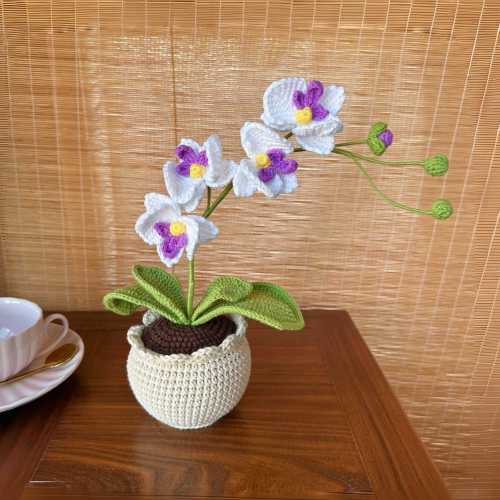 Hand-Knitted Moth Orchid Bouquet Vase, Crochet Flower Pot, Gift for Moms