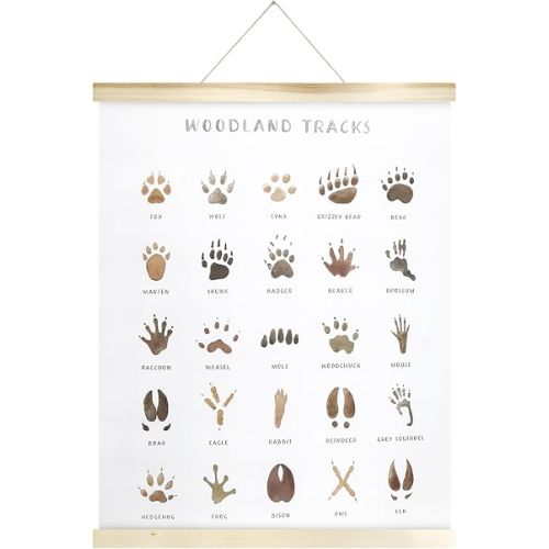 Woodland Tracks Hanging Poster Canvas Artwork - Animal Tracks Field Guide Nursery Wall Decor for Boys Jungle Theme, 16x20 Inch
