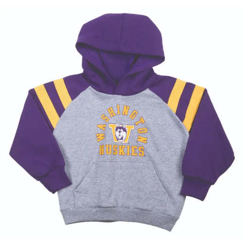 Third Street Toddler Gray Washington Vault Dog Huskies Fleece Pullover Raglan Hoodie