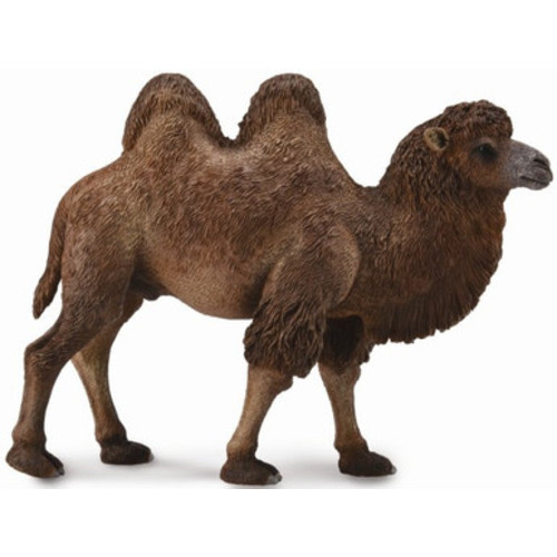 CollectA Bactrian Camel #88807 - Shaggy, Double Humped