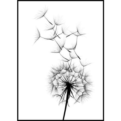 Dandelion wish Poster