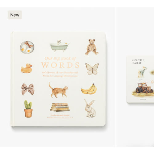 Our Big Book of First Words