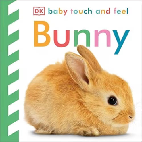 Baby Touch and Feel Bunny: An Interactive Spring Board Book