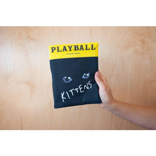 Baby Crinkle Book- Kittens Theater Program Parody Baby Shower Gift