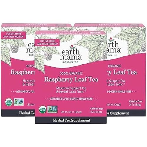 Earth Mama - Organic Raspberry Leaf Tea - 48 Teabags
