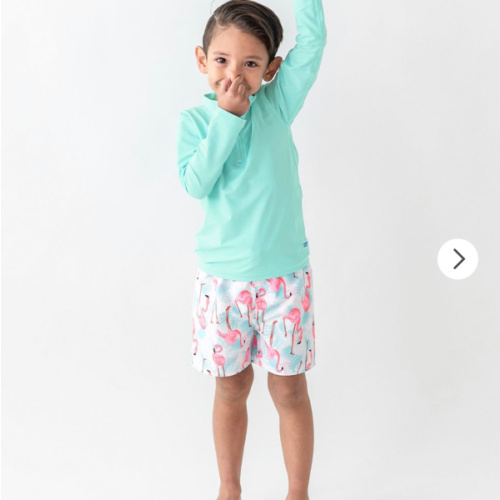 Flamingo Swim Trunks